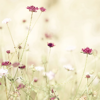 Profile avatar image for esterallo