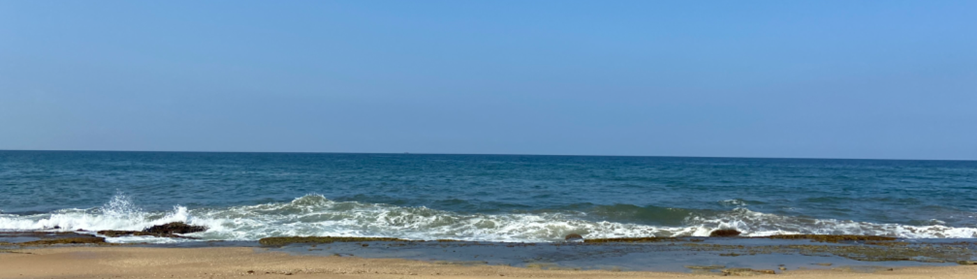 Profile banner image for TheNAZ