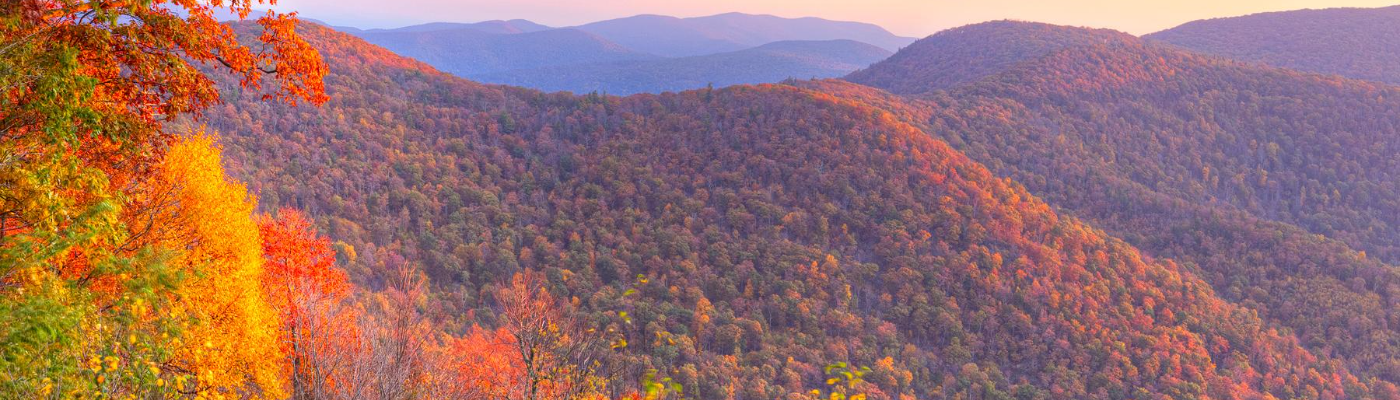 Profile banner image for Alub