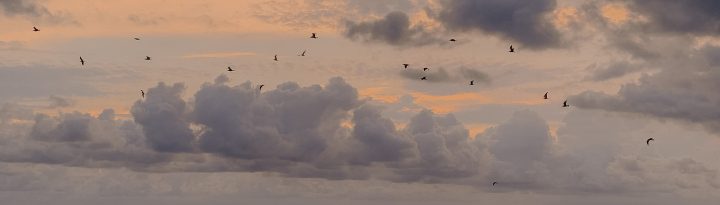 Profile banner image for izzic