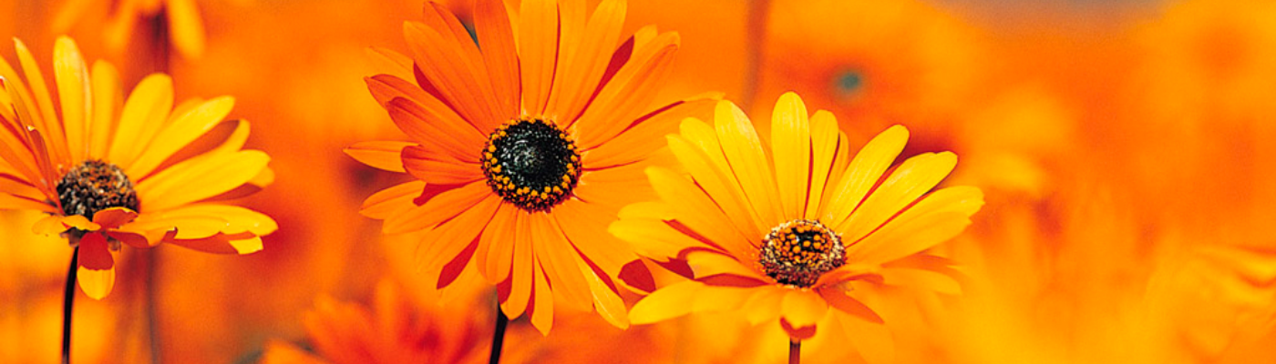 Profile banner image for M4J25Love