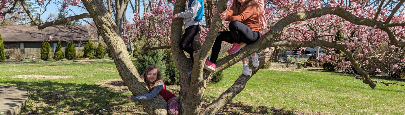 Profile banner image for xplodingunicorn