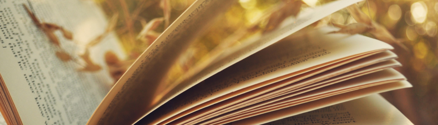 Profile banner image for biaclb