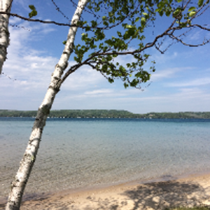 Profile avatar image for Sandlot