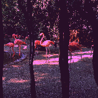 Profile avatar image for TryToBeLove