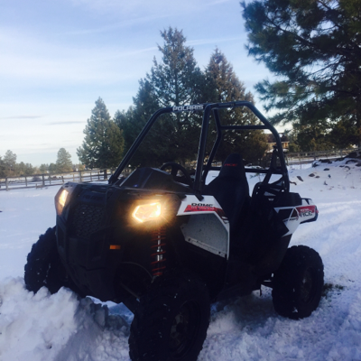 Profile avatar image for cannon_polaris