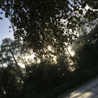 Profile avatar image for NotYours