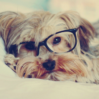 Profile avatar image for JessLax