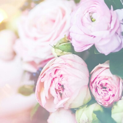 Profile avatar image for KaecFaye