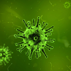 Profile avatar image for 4N