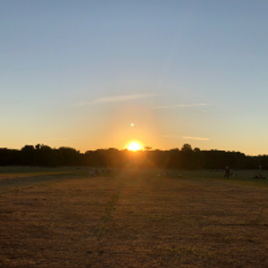 Profile avatar image for SunRise