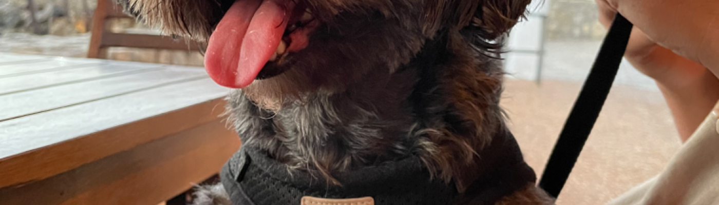 Profile banner image for Kenyemi23