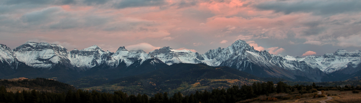 Profile banner image for ShredMuffins