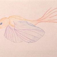 Profile avatar image for Elisabeth