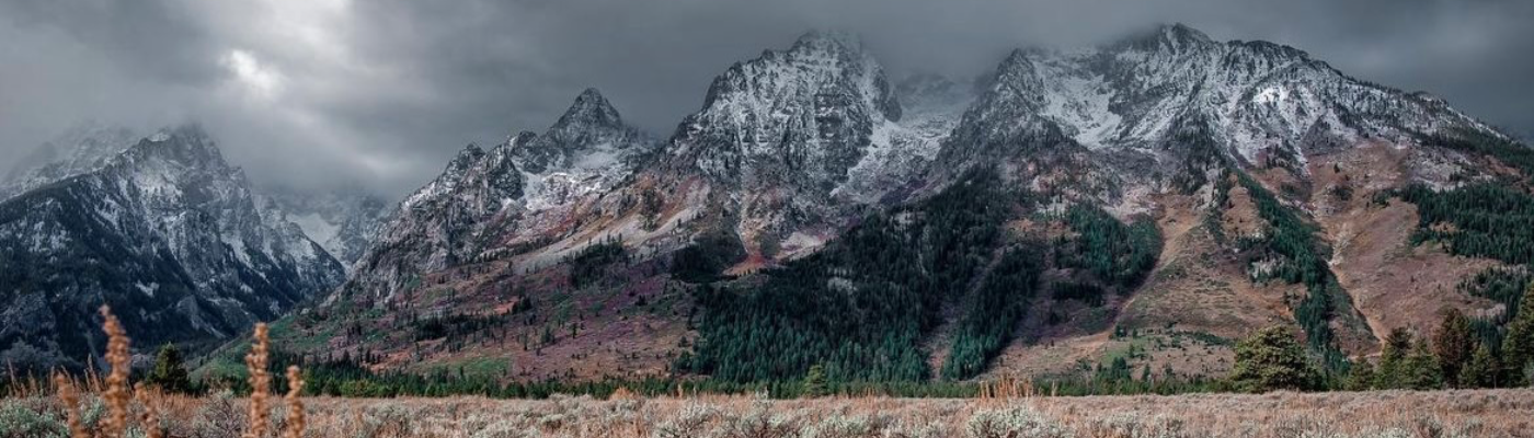 Profile banner image for Mysilentembrace