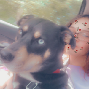 Profile avatar image for Ravendapogchamp