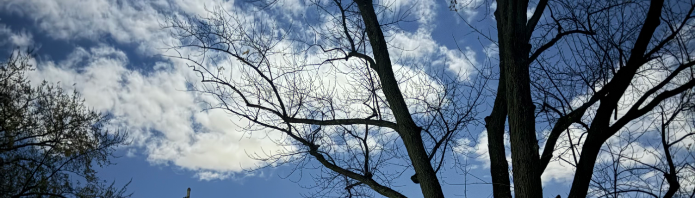 Profile banner image for DroMata