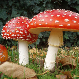 Profile avatar image for hireath_writer