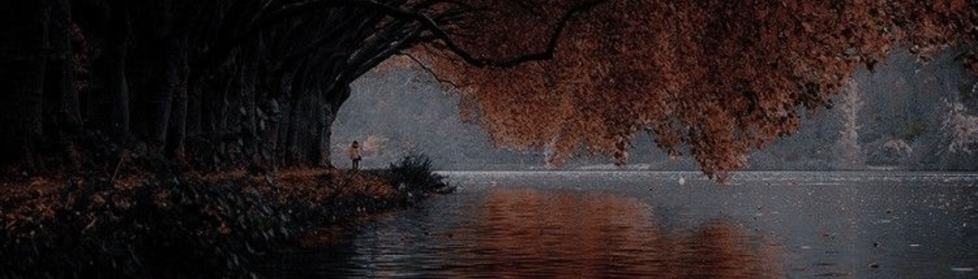 Profile banner image for 0wl_stvro5