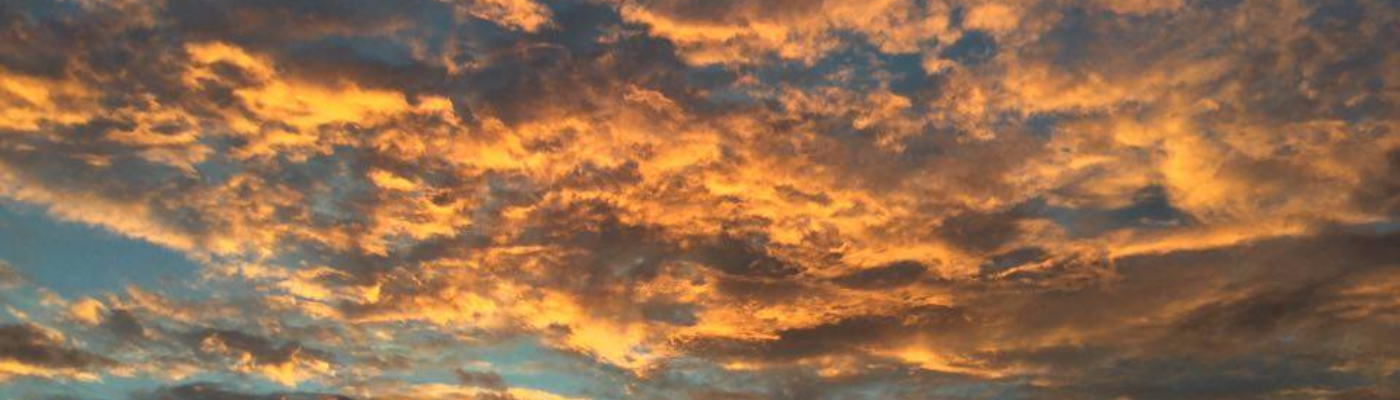 Profile banner image for Schuyler