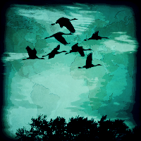 Profile avatar image for SevenWinds