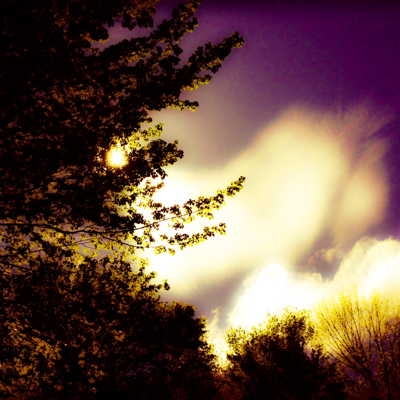 Profile avatar image for HouseMouse