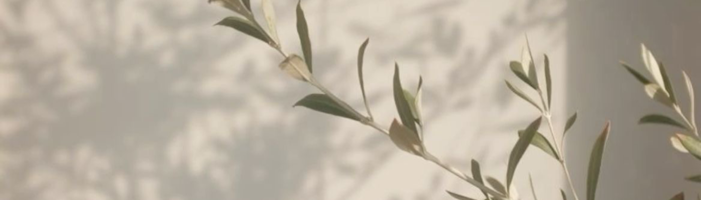 Profile banner image for KadyQuill