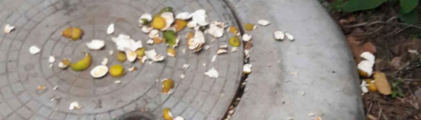 Profile banner image for BMR