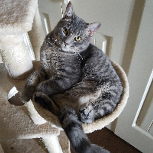 Profile avatar image for Caecae4607