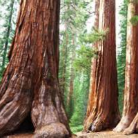 Profile avatar image for minneapolis