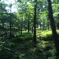 Profile avatar image for OnlyDreaming