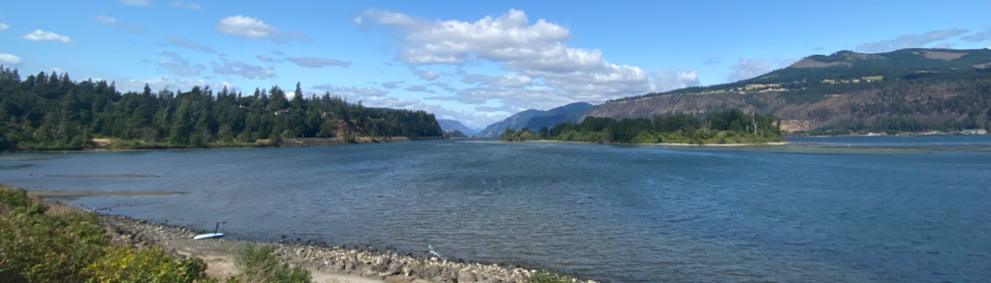 Profile banner image for OrynBrun