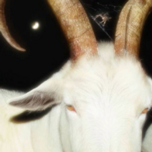 Profile avatar image for xseraphx