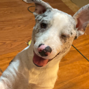 Profile avatar image for NicoleD