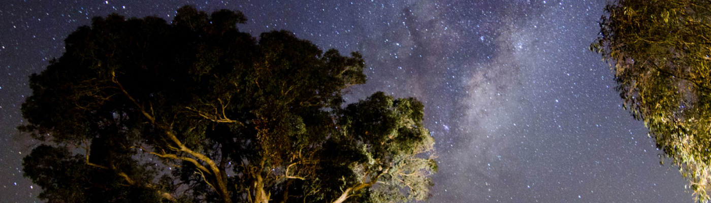 Profile banner image for EasyTiger