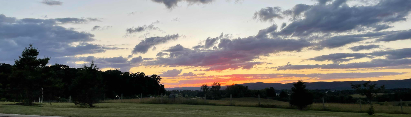 Profile banner image for Blankyblank