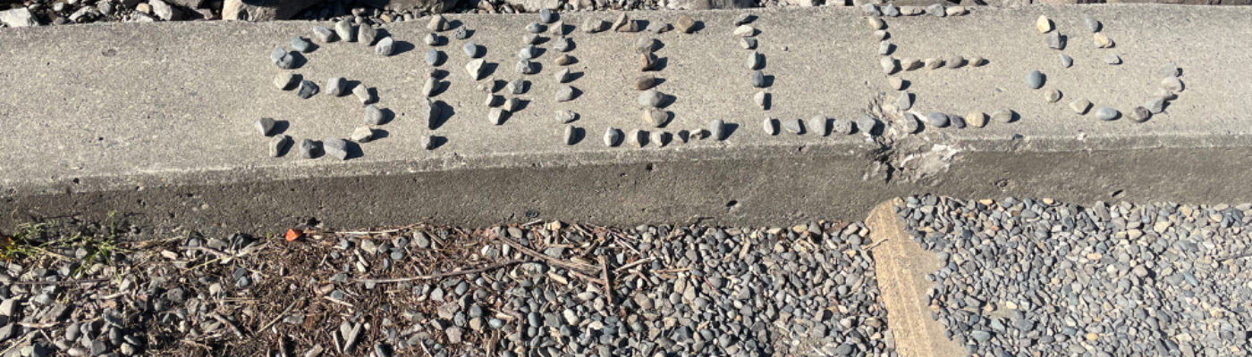 Profile banner image for TE_Pastiche