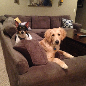 Profile avatar image for Jfa03