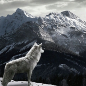 Profile avatar image for InvisibleSoul