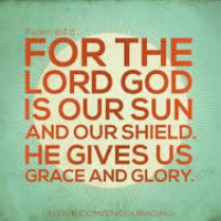 Profile avatar image for Naixin