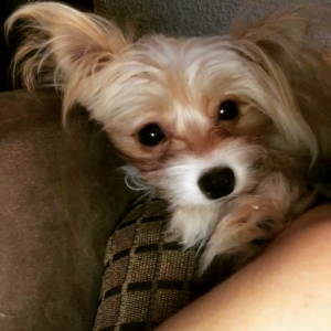 Profile avatar image for RachelJoi