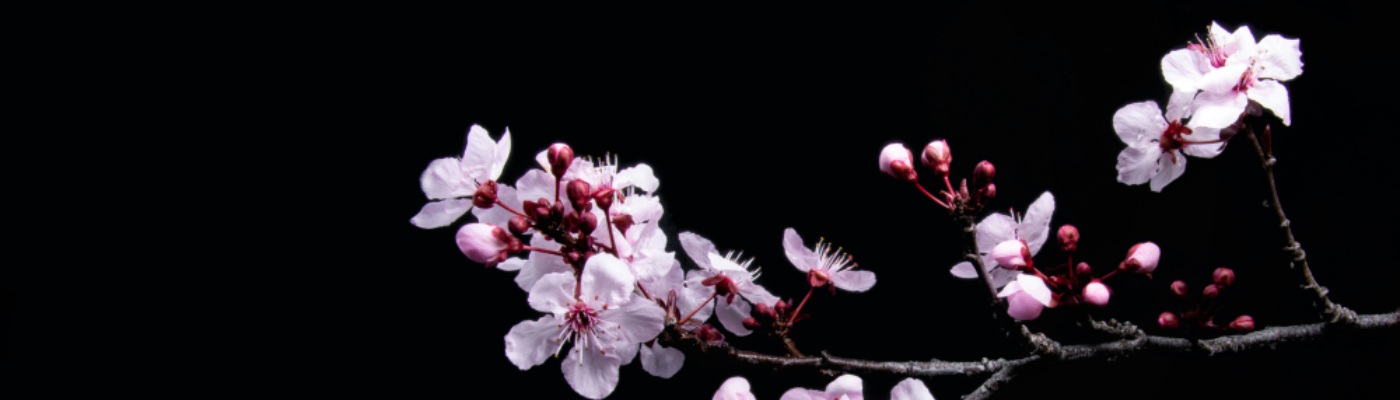 Profile banner image for the_typewriter