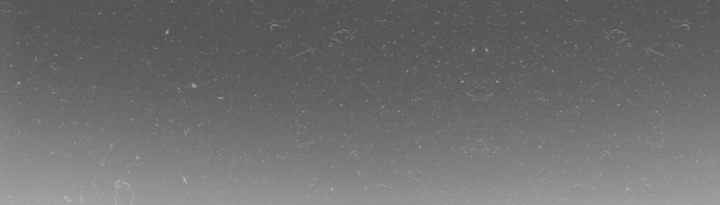 Profile banner image for iambroodingjune