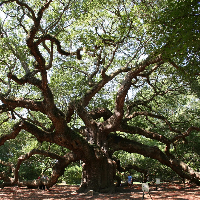 Profile avatar image for DavidYager