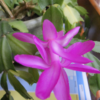 Profile avatar image for starryEyes