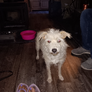 Profile avatar image for Overtime