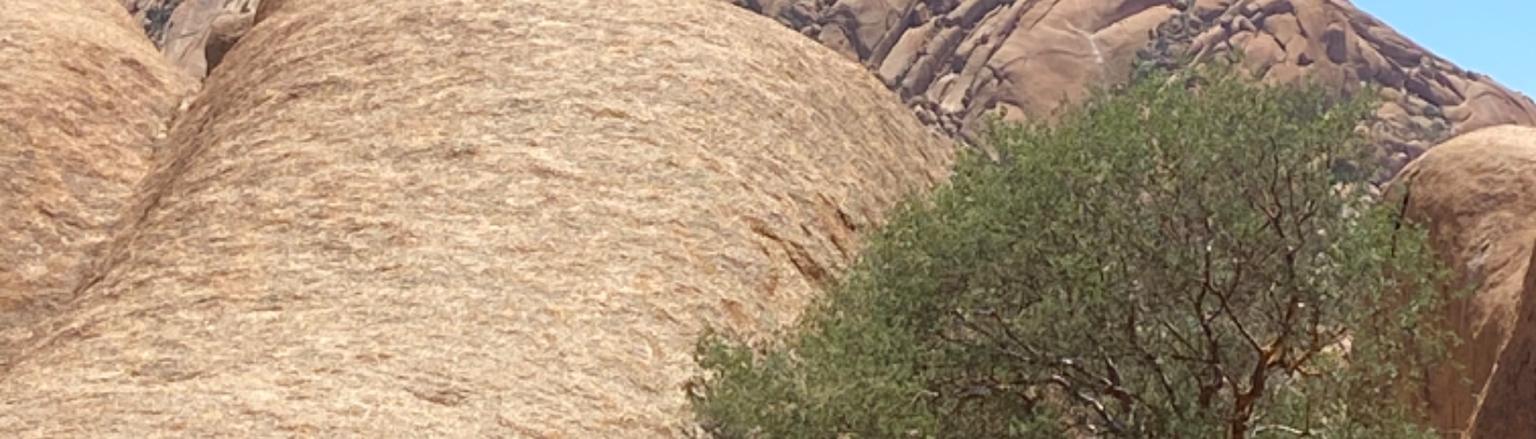 Profile banner image for RA95