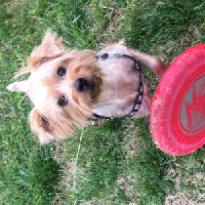 Profile avatar image for Trousers