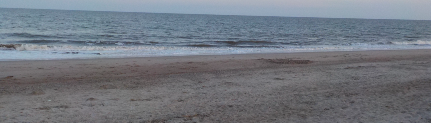 Profile banner image for Katiemurnett