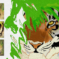 Profile avatar image for Paige